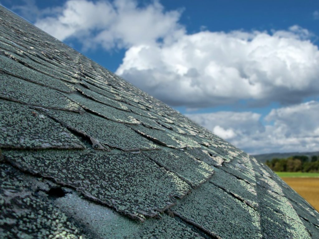 Aging roof with curled shingles.
