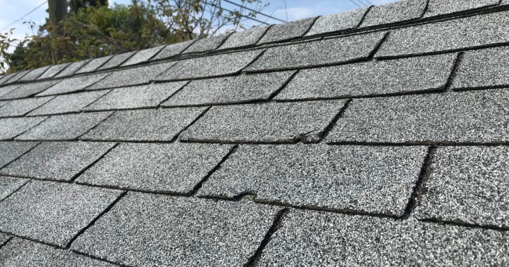 Damaged roofing shingles indicating the need for a roof tune up.