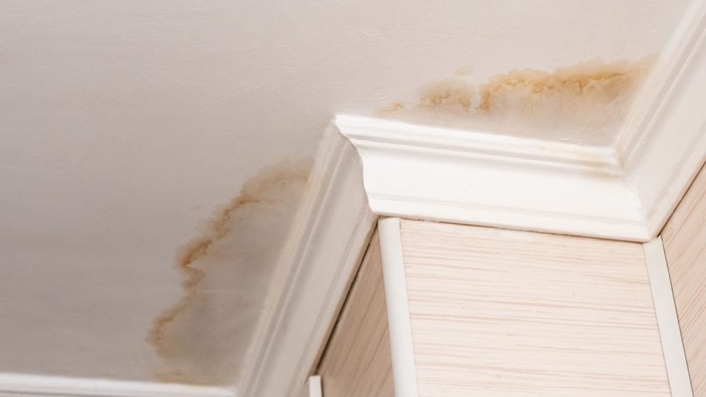 Roof leaks should be repaired quickly before damage worsens in The Woodlands, TX.
